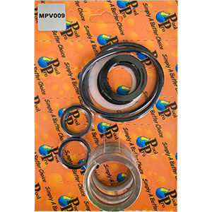 MPV Spring Kit 40mm Praher Suits Neptune Sand Filters | Multiport Valve Repair Kit